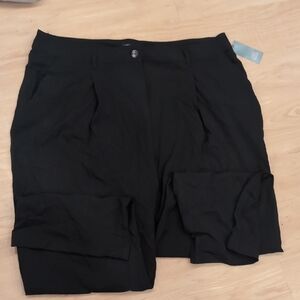 Black Pleated Dress Pants Size 22 Women's Wild Fable NWT